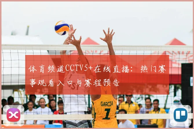 体育频道CCTV5+在线直播:热门赛事观看入口与赛程预告