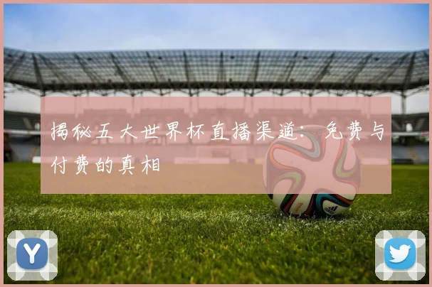 揭秘五大世界杯直播渠道：免费与付费的真相
