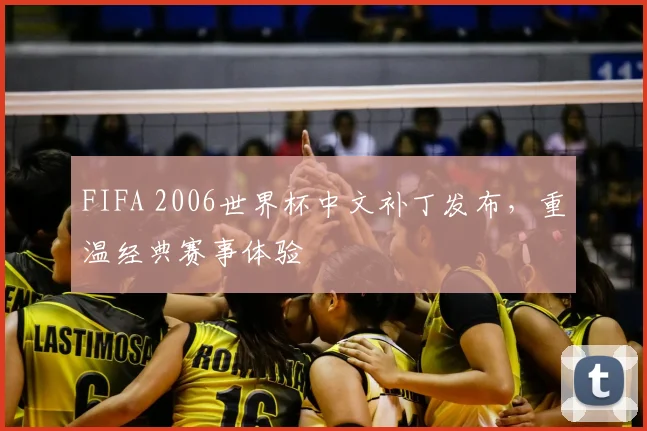 FIFA 2006世界杯中文补丁发布，重温经典赛事体验