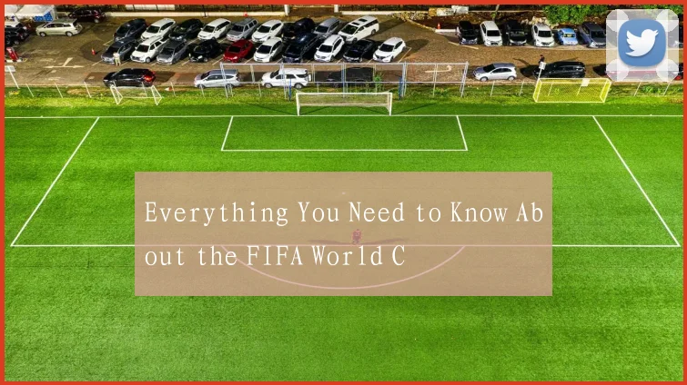 Everything You Need to Know About the FIFA World C